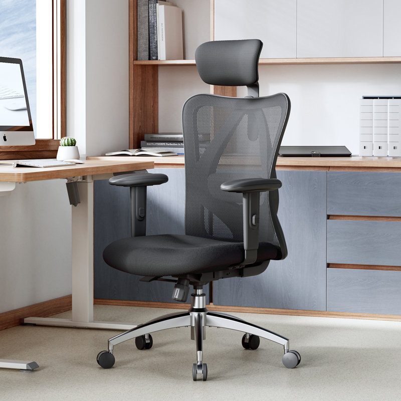 Ashendon Ergonomic Mesh Office Chair with Adjustable Lumbar Support and Padded Armrests for 300lbs, Black