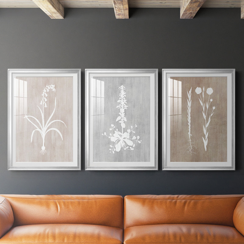 " Botany Beauty I " 3 - Pieces Painting Print, Silver Framed, 30.5" H x 45" W x 2.5" D
