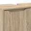 Freestanding Under Sink Cabinet