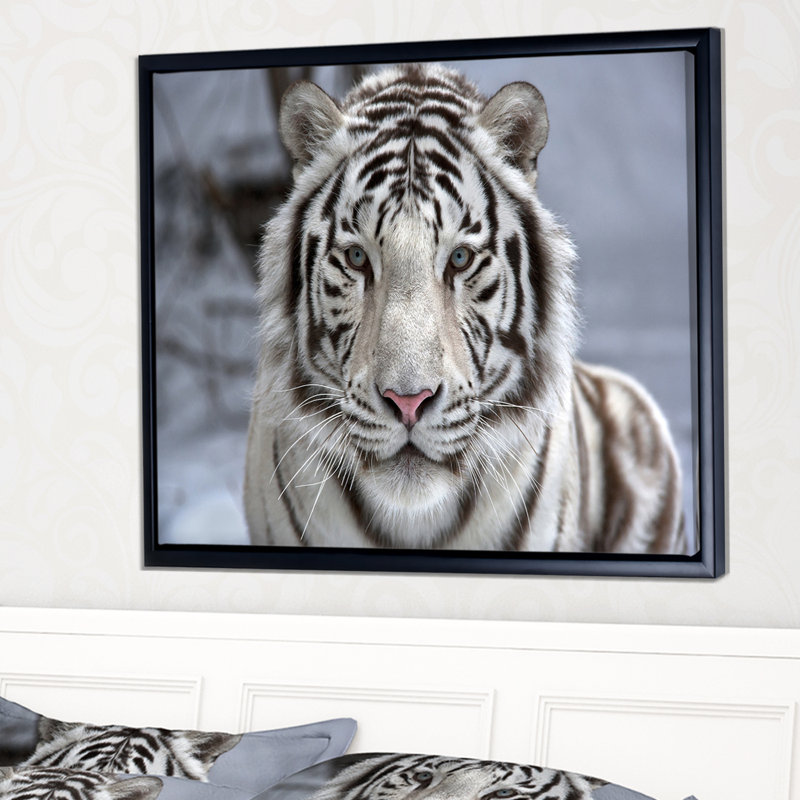 «Face To Face White Bengal Tiger», photographie encadrée sur toile, H 16 po x l 32 po x P 1 po