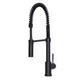 Sierra Pull Down Single Handle Kitchen Faucet with Side Spray and Accessories