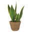 Walbourne Pot Planter-82297929