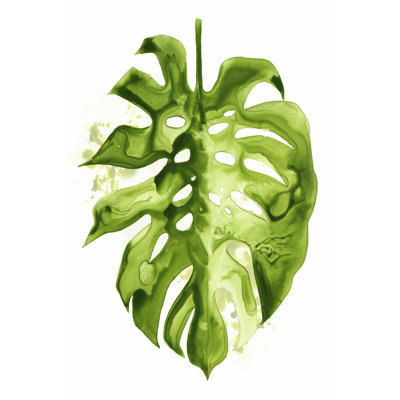 Monstera II