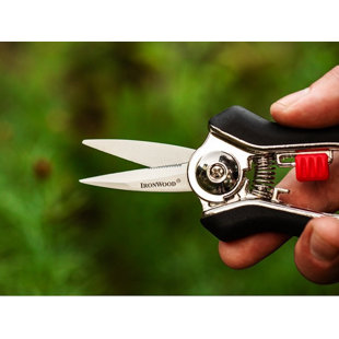 Ironwood 6" Needle Nose Secateurs