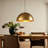 Lodi 1-Light Dome Single Pendant-1519076985-1519076984