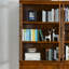 Bibliothèque de style américain