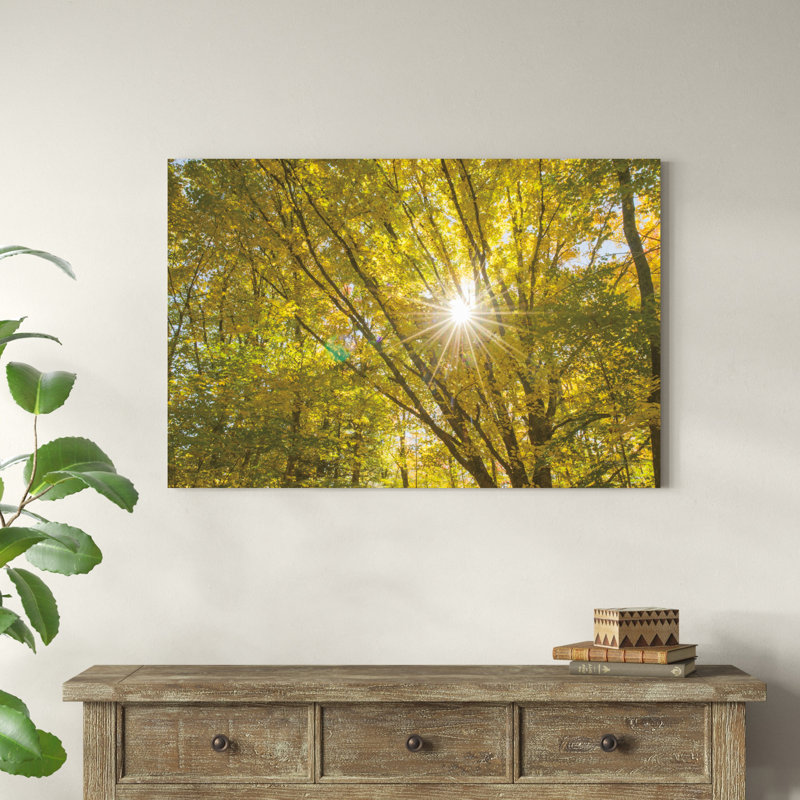 Feuillage d'automne Sunburst V, H 48 po x l 32 po