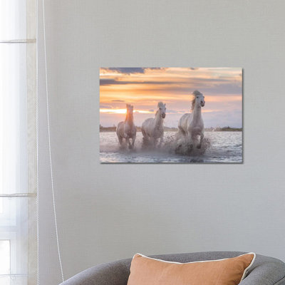 White Angels Of Camargue XXXII by Daniel Kordan - Print on Canvas