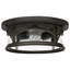 Lolington Glass Flush Mount