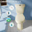 Toilette compacte deux pièces 21 po 1,1 / 1,6 GPF à chasse double avec siège à fermeture en douceur-111656260