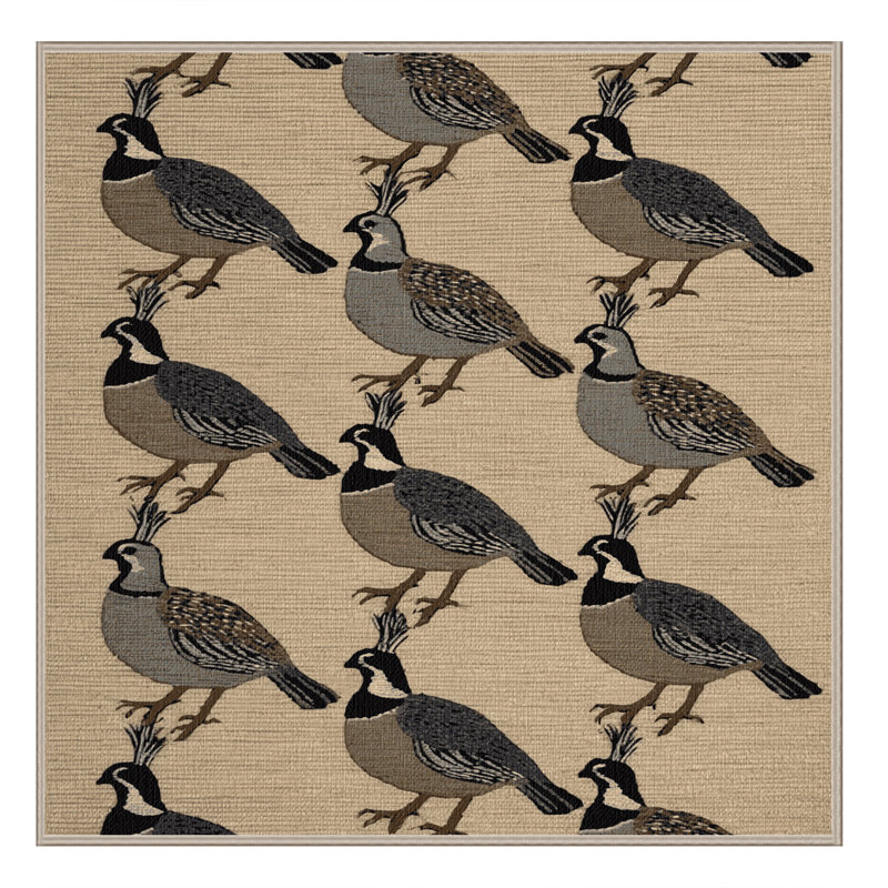  Tapis lavable California Quail Birds, Carré 6 pi