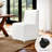 Upholstered Dining Chairs With Casters, Modern Single Sofa Chair With Slient Wheels For Living Room, Arrived Assembed(4Pc, Cream)-848967209-848967208