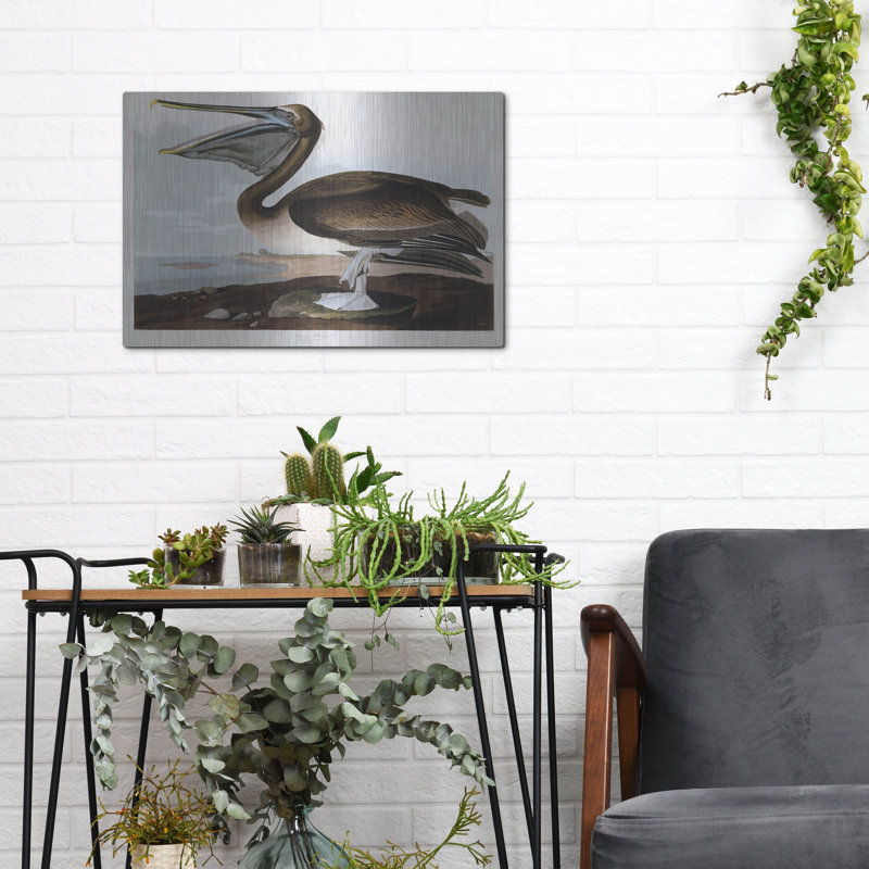  «Brown Pelican» par Stellar Design Studio, art mural en métal, 16 po x 12 po, H 12 po x l 16 po