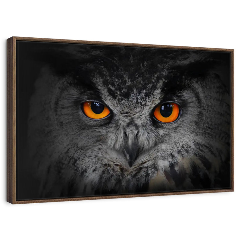 Hibou gris envoûtant, Cadre flottant noyer, 43 po x 29 po