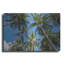 «Palawan Palm Trees II» par Richard Silver, art mural en métal de luxe, 36 po x 24 po-1261676963