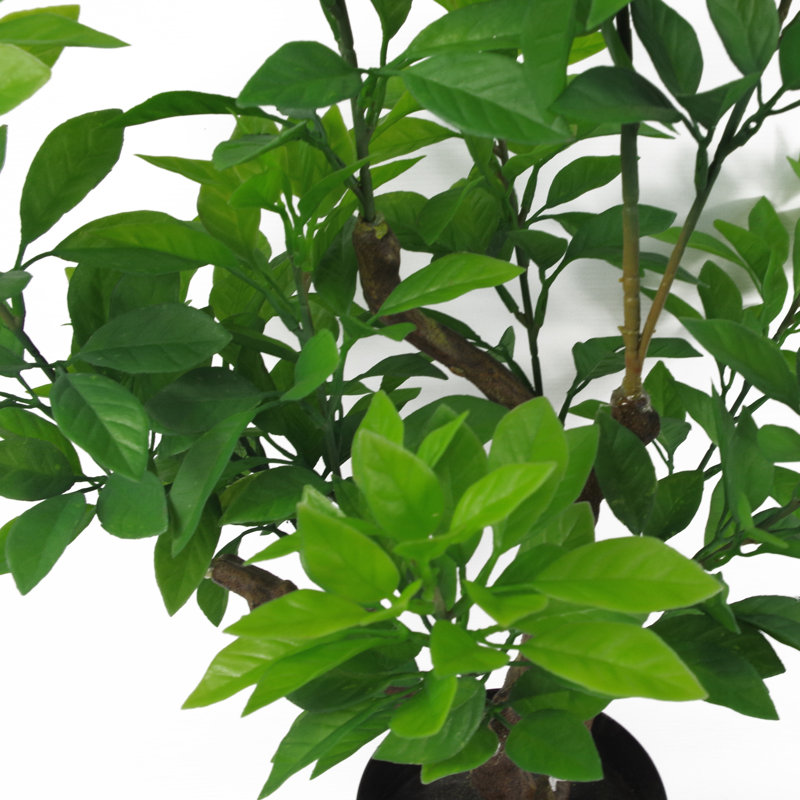 Anlin 80cm Faux Ficus Tree in Pot, Green