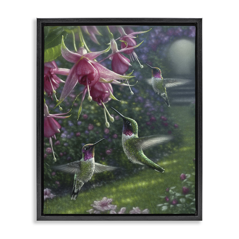 Cadre flottant Hummingbird Haven Garden, design par Collin Bogle, Cadre flottant noir de jais, H 21 po x l 17 po