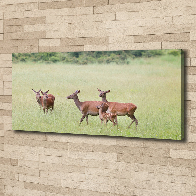Roe With Young - Wrapped Canvas Print