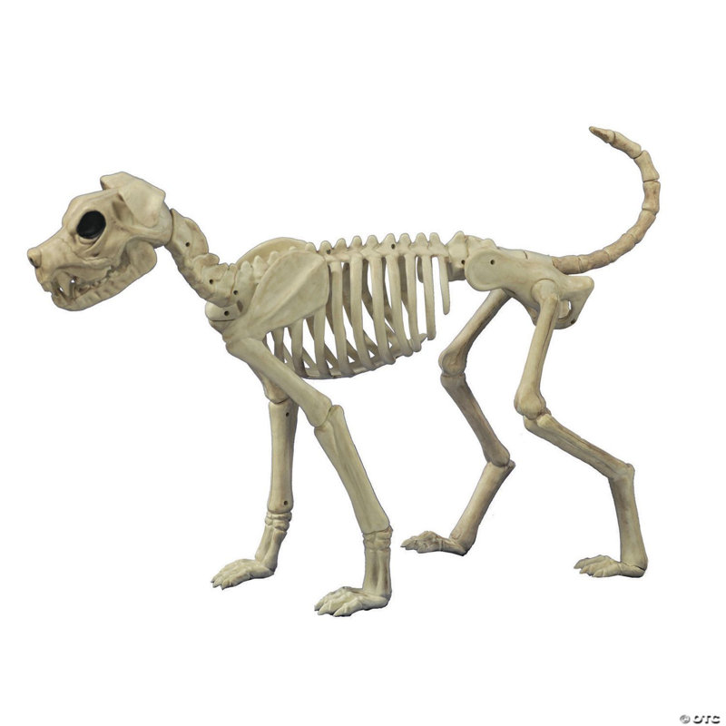 Décoration d'Halloween en plastique 3 pieds par 21 pouces Buster Bonez