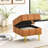 Orange 22 Inches Scratch Leather With Storage Function - Pet- Entryway Bench And Golden Stainless Steel Legs Space-2012848685