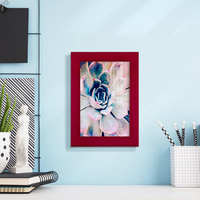 Pastel Succulent Beauty II, reproduction d'art encadrée