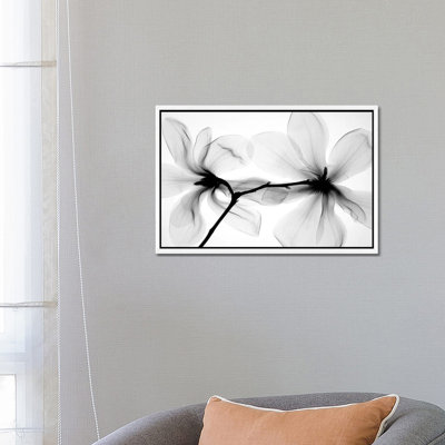 Magnolias I by Hong Pham - Print on Canvas