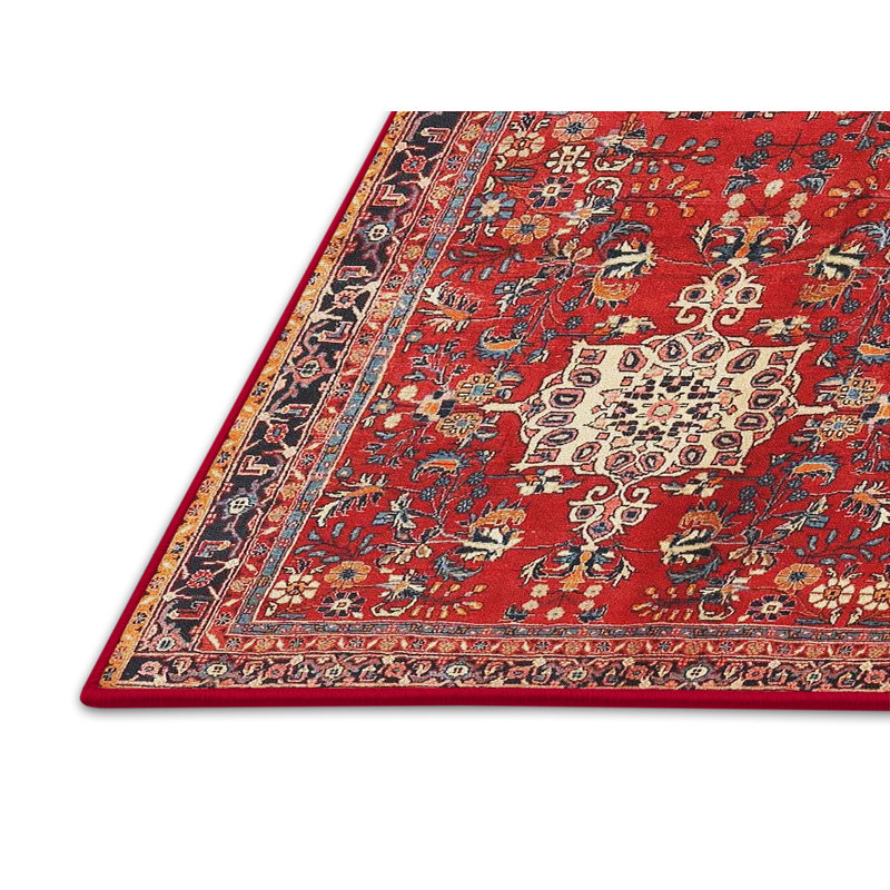 Tapis traditionnel rouge / brun / beige, Rectangle 2 pi x 5 pi