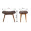 Rashawn Velvet Upholstered Bench