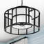 Hulton 5-Light Drum Chandelier