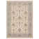 Atherine Oriental Indoor Rug