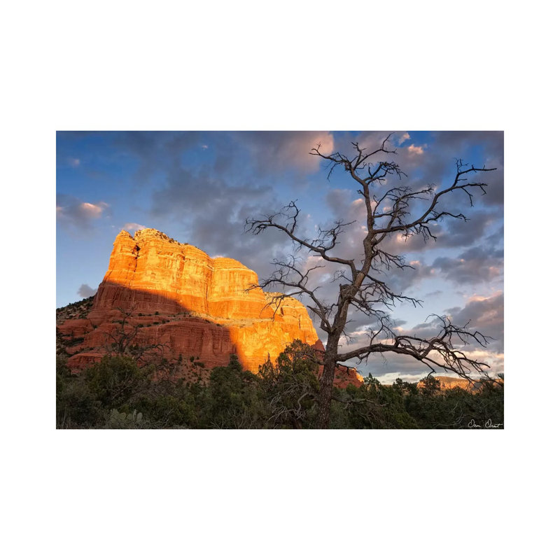 Sunset In The Desert II by David Drost - Wrapped Canvas Print, 66.04 cm H x 45.72 cm W