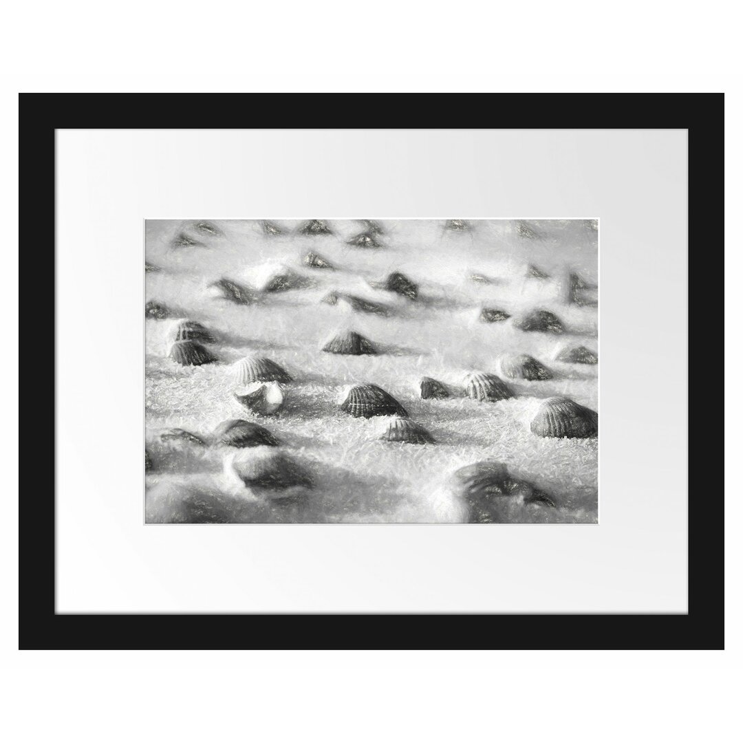 Muscheln im Sand Gerahmter fotografischer Kunstdruck