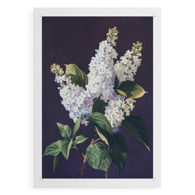 FLORAL Series CCXXXV -Canvas Print Only - NOT FRAMED