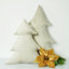 Hampton Novelty Cushion