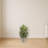 Aglaonema Artificial Plant in Sand Colored Planter