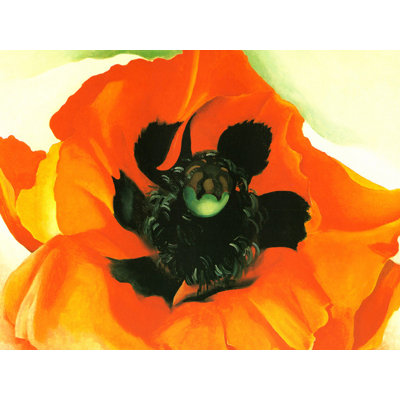 Coquelicot