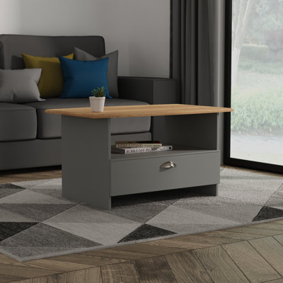 Penovich Coffee Table with Storage