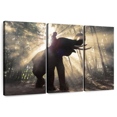 Brampt Asian Elephant And Rider