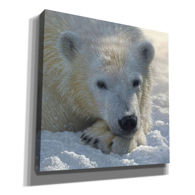 «Polar Bear Cub» par Collin Bogle, art mural sur toile, H 26 po x l 26 po x P 1,5 po