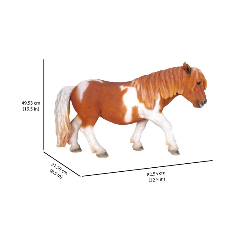 Shetland Pony