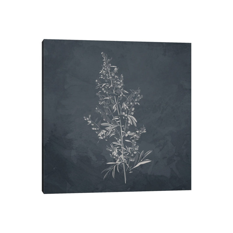 Plant II by Kimberly Allen - Wrapped Canvas Painting, 30.48 cm H x 30.48 cm W