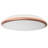 Witman Flush Mount-198804028-198804031