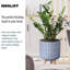 Geometric Patterned Cylinder Planter with Feet-350652353-350652381