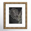 Golden Flower Folklore II by Asia Jensen-59865362-59865397