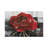 Blooming Red Rose by Rian Withaar - Wrapped Canvas Print-635490459