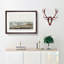 Piping Plover Birds by John Audubon - Framed Print-55616509-55616510