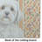 White Lhasa Apso Heirloom Fall Glass Cutting Board