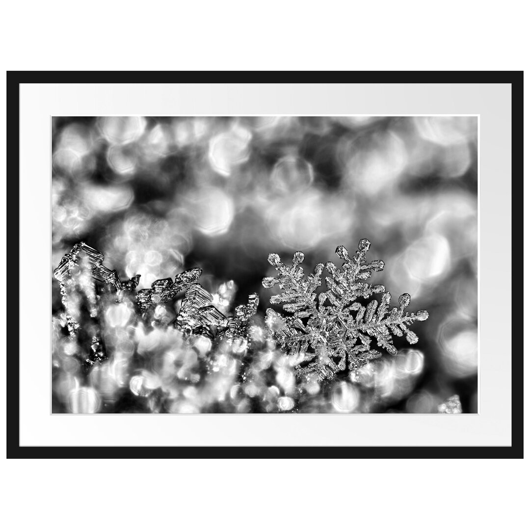 Gerahmtes Wandbild Beautiful Ice Crystal