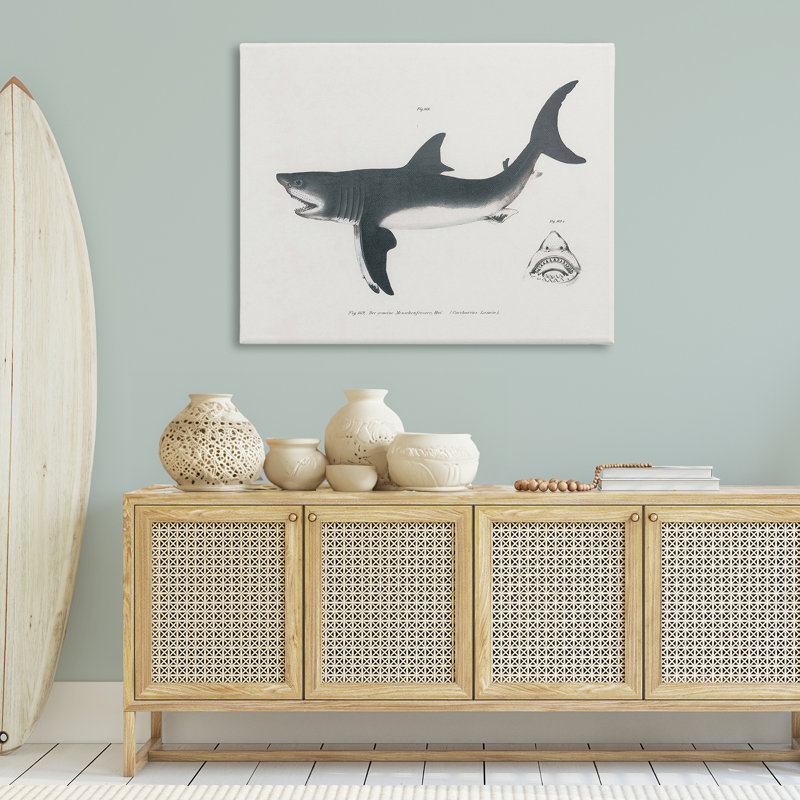 Schéma détaillé du requin, toile par Phillipa Katz, H 36 po x l 48 po