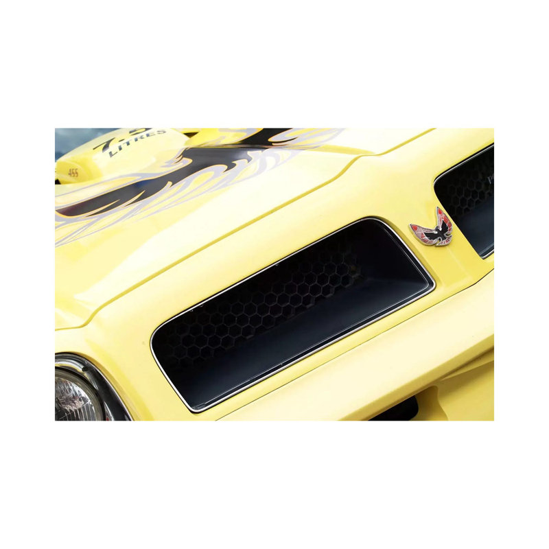 1976 Pontiac Trans Am, Front End Detail by Clive Branson - Wrapped Canvas Print